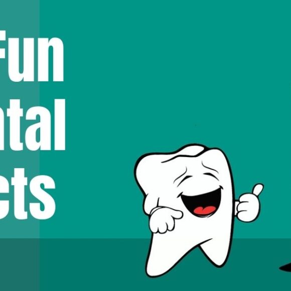 Fun Dental Facts That Will Put a Smile on Your Face