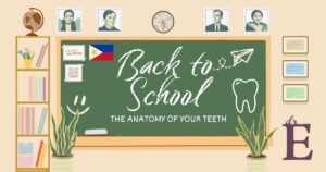 anatomy of your teeth